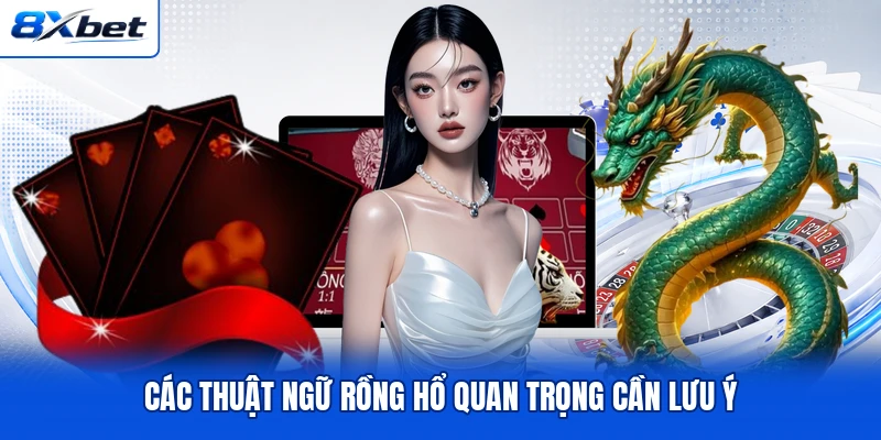 Các thuật ngữ Rồng Hổ quan trọng cần lưu ý